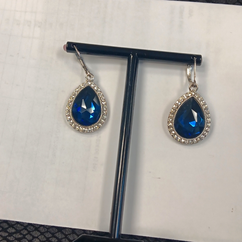 Ringstone earrings with blue in the middle